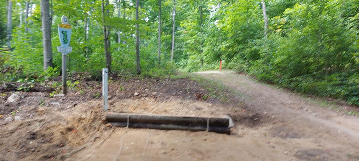 New tee pad 12.🌳☘🌳☘🍁