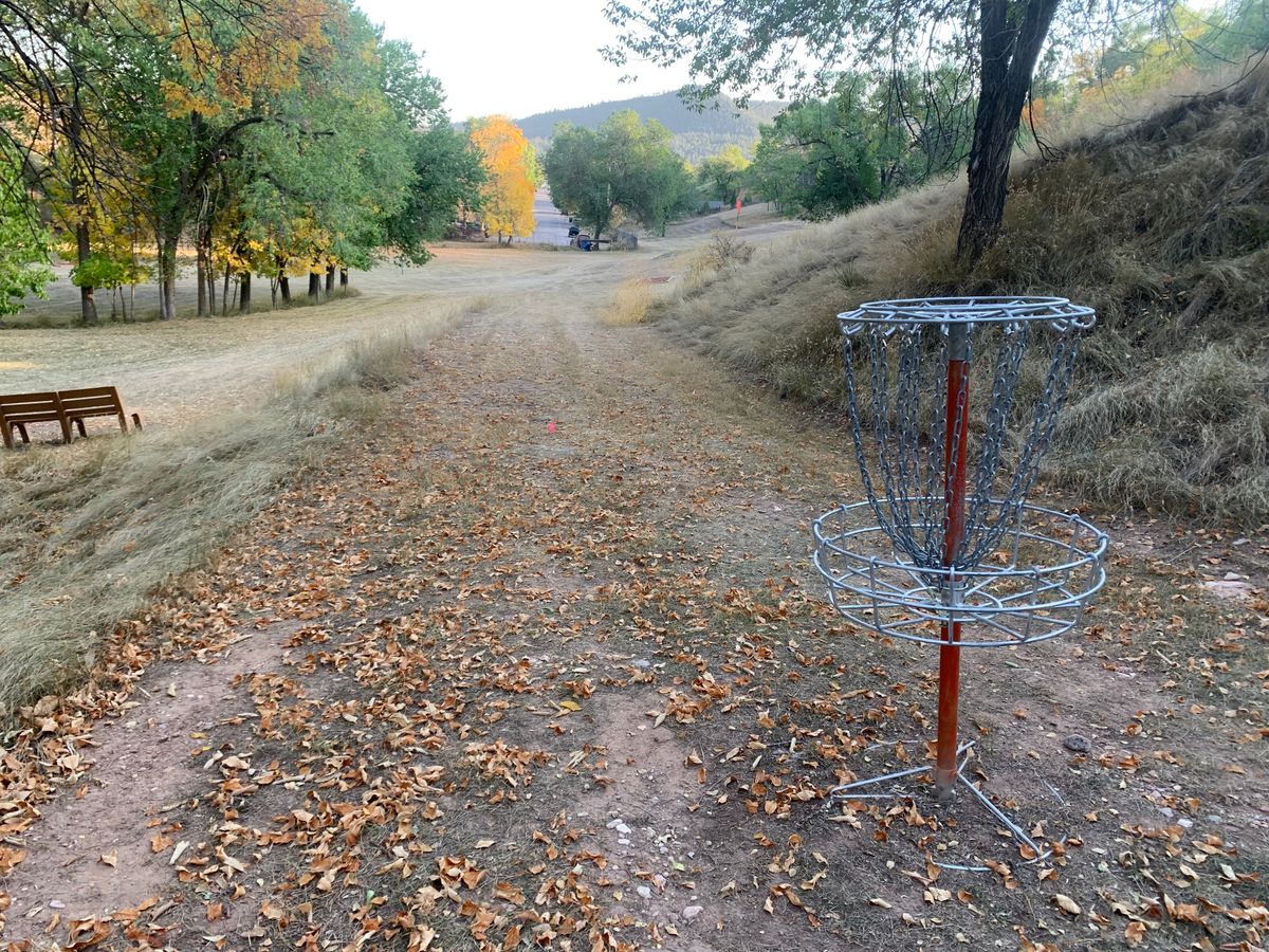 Hole 4 basket looking towards tee pad.
