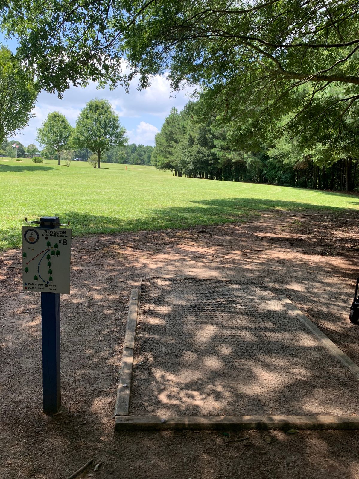 Tee Pad Basket 8, elevated basket, straight ahead and slightly right