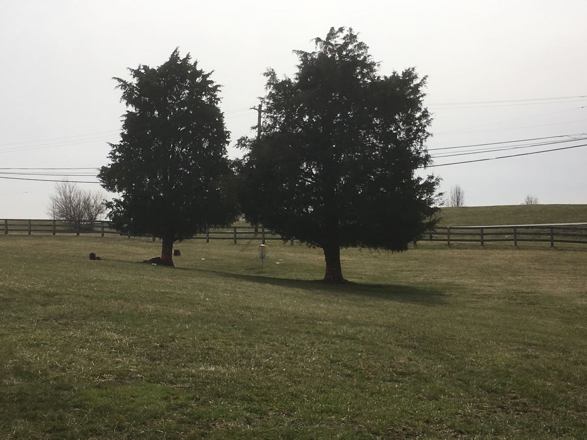 Hole #24; from the opening