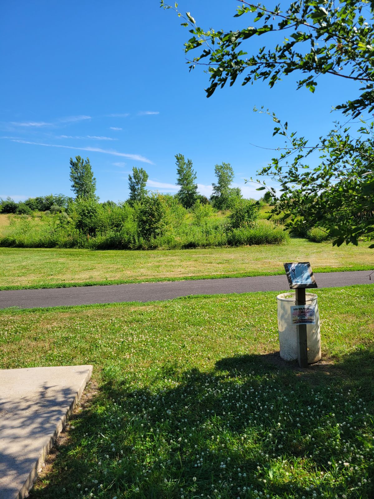 6th Tee