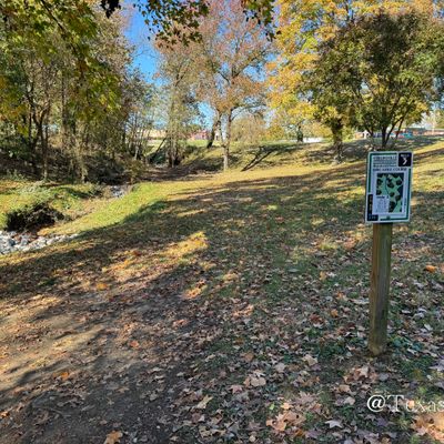 Hole 3