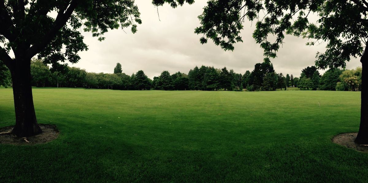 The main field, holes 2-5 visible.