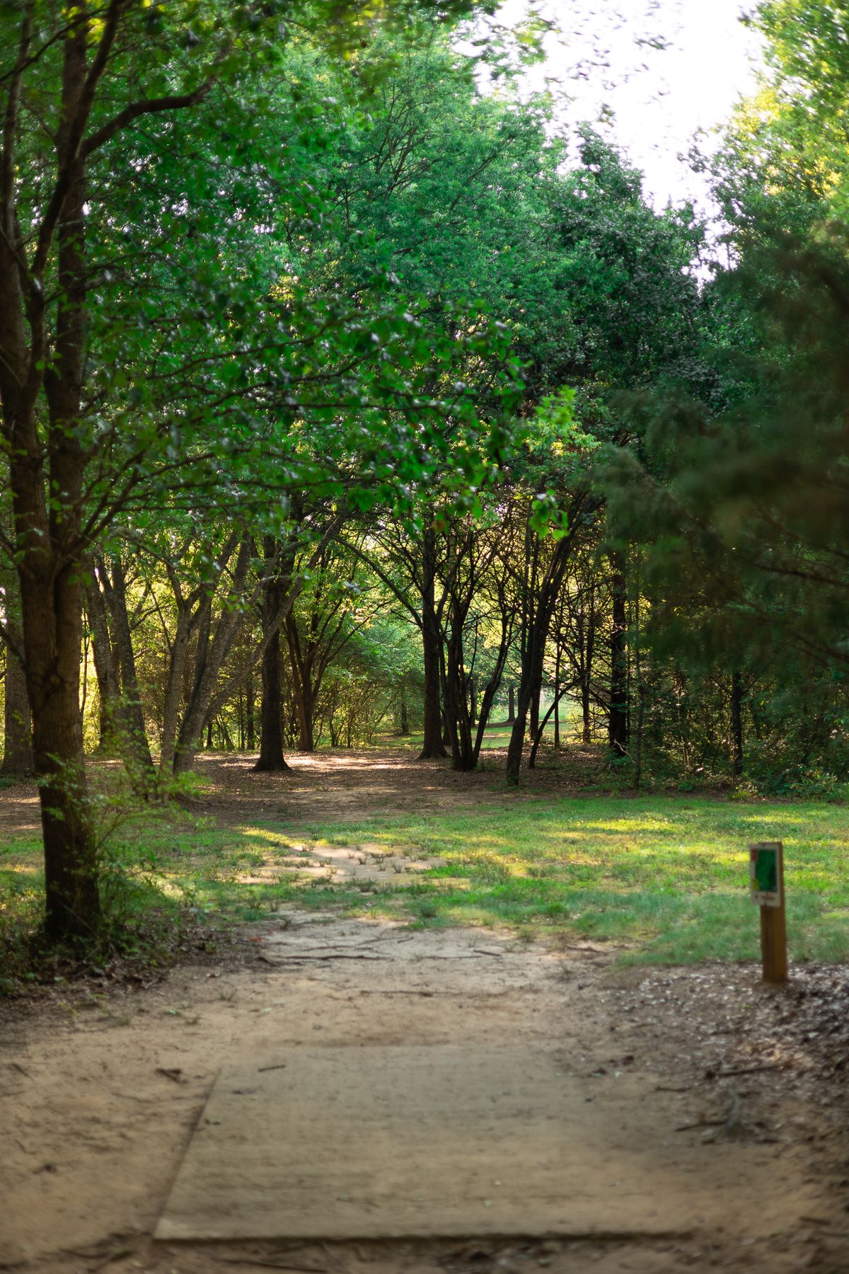 Hole 6 Short