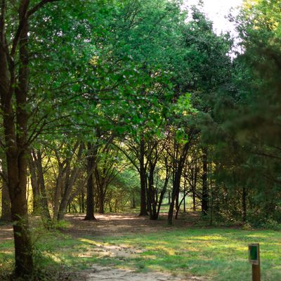 Hole 6 Short
