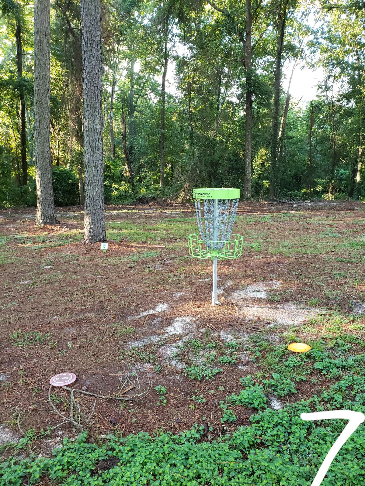 #7 Green