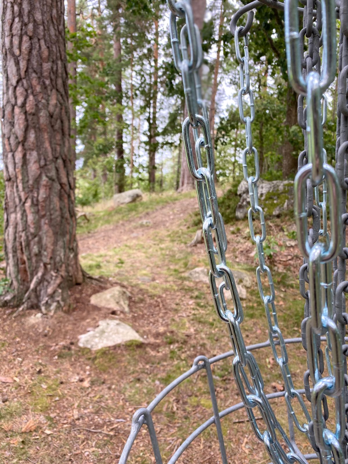 Hole #12