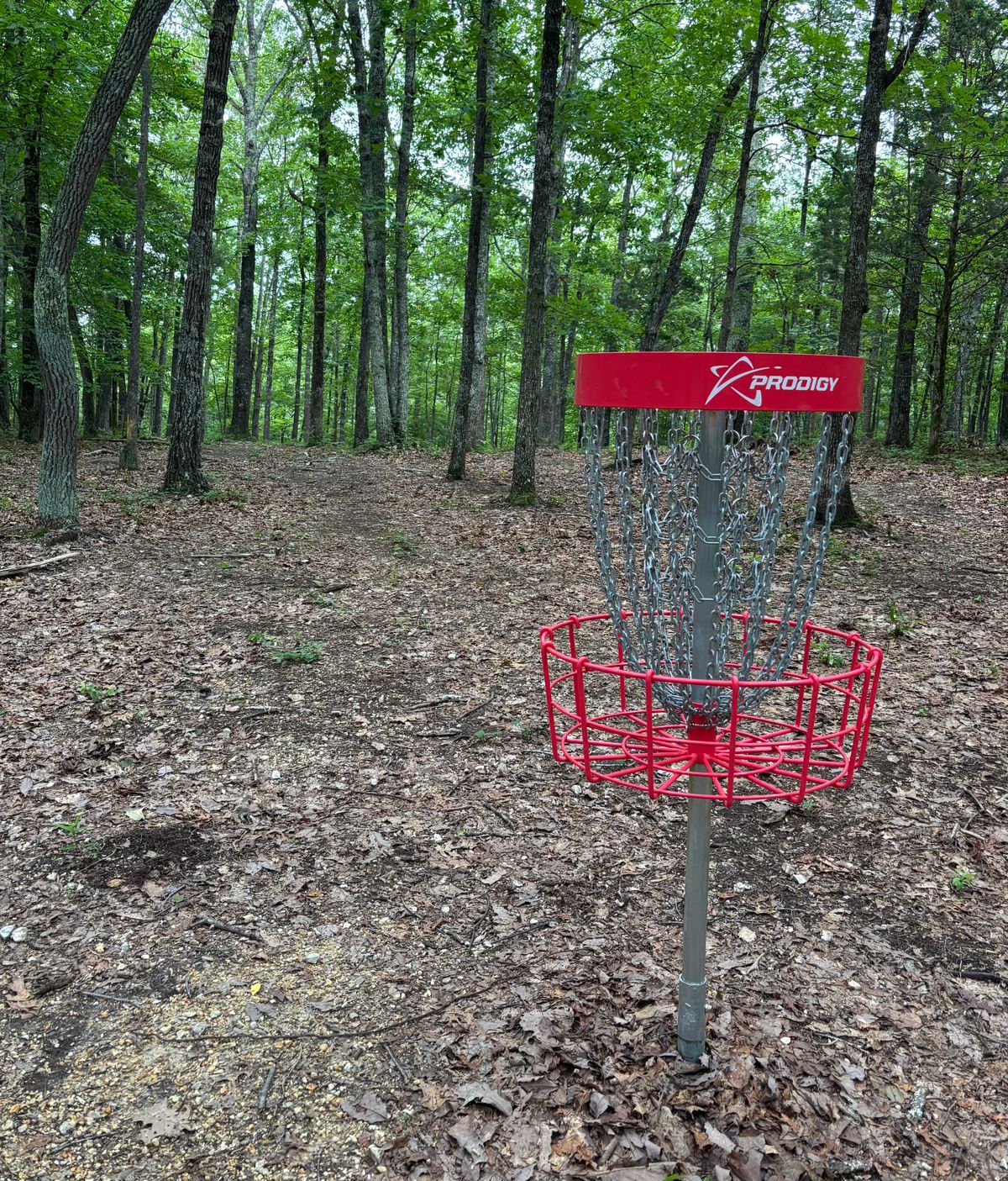 Hole #16 Basket to Tee