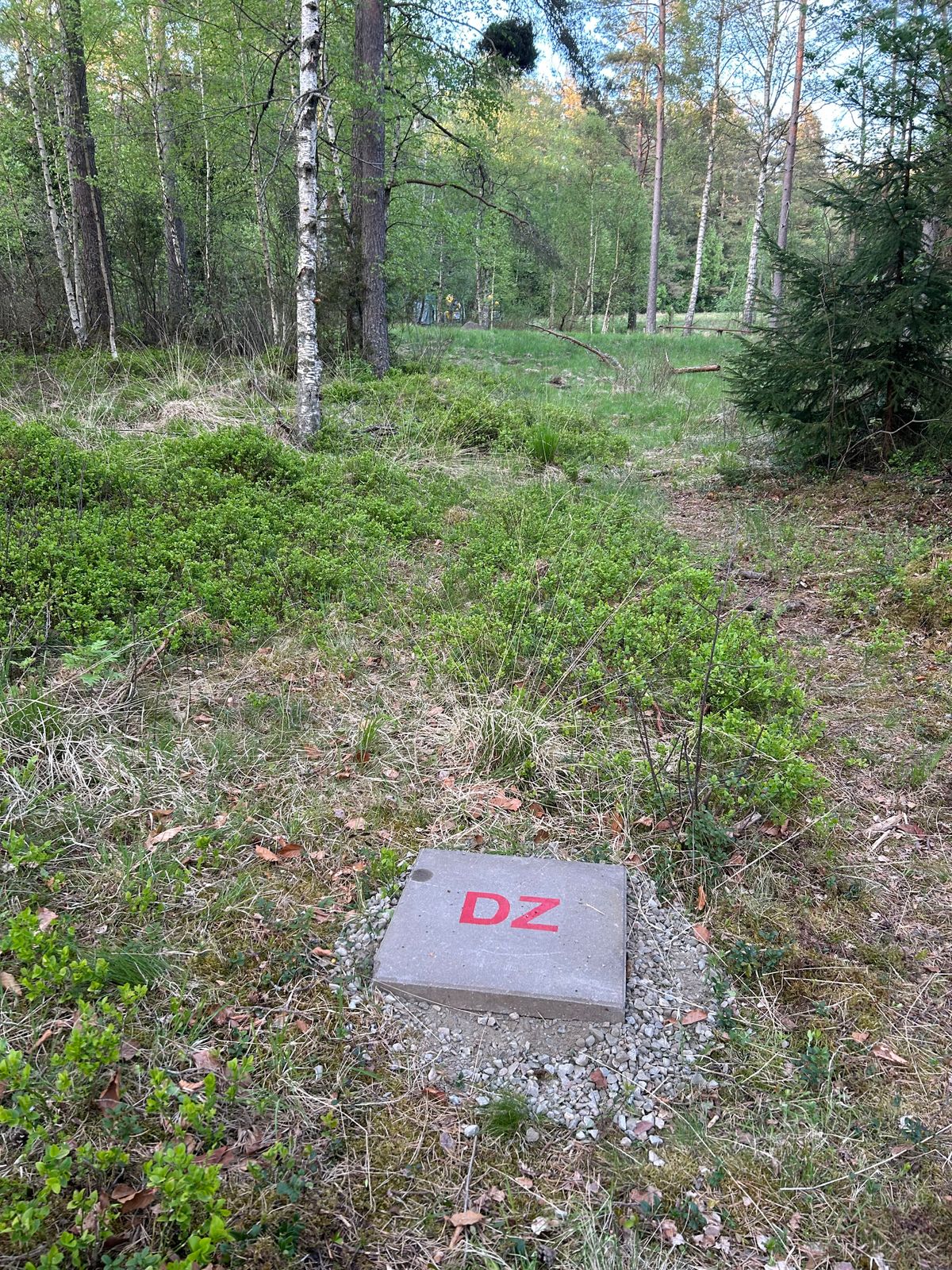 Mando och DropZone på hål 7