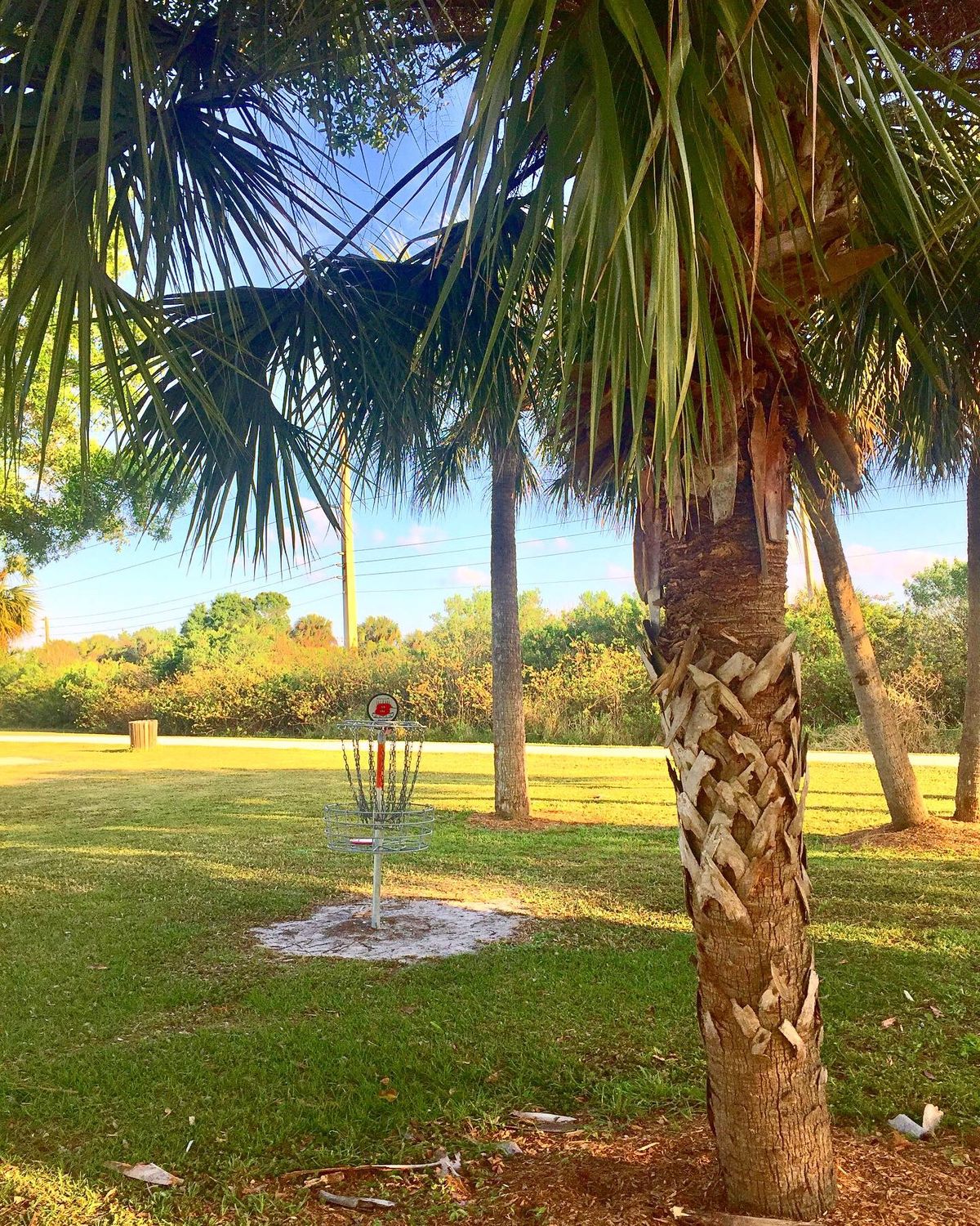 Hole 8 (Pin)