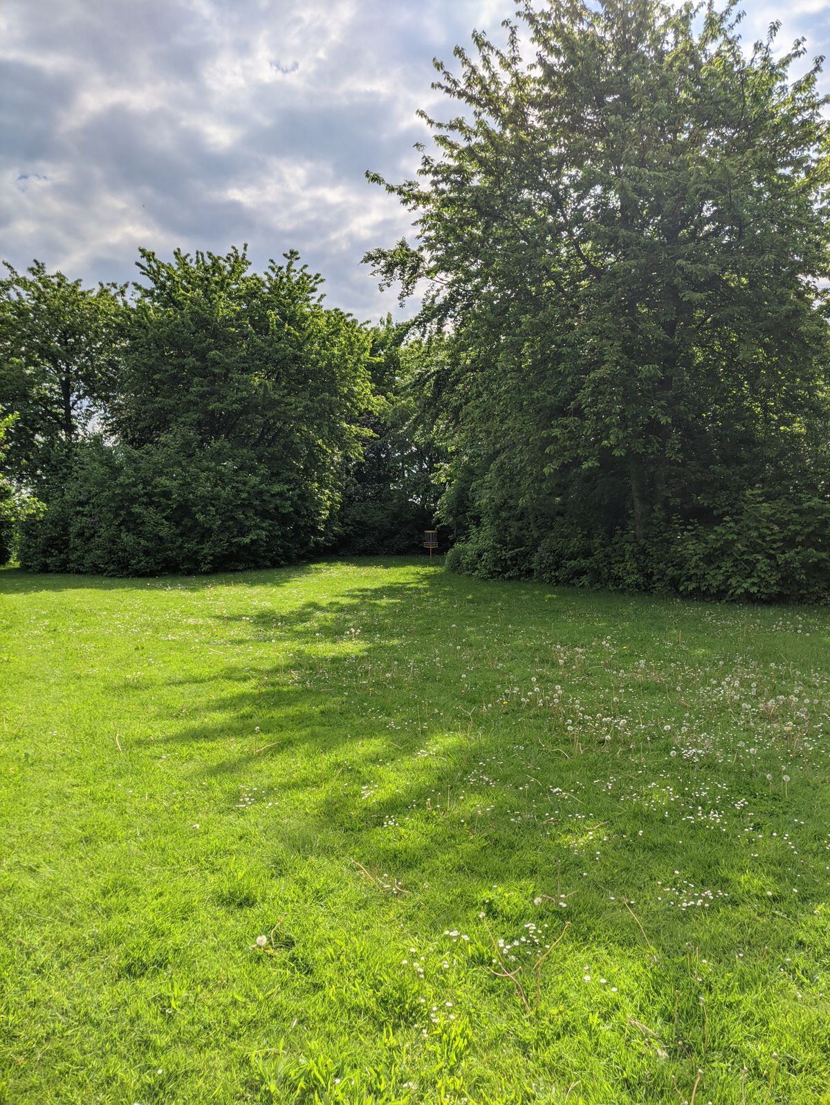Fairway 1