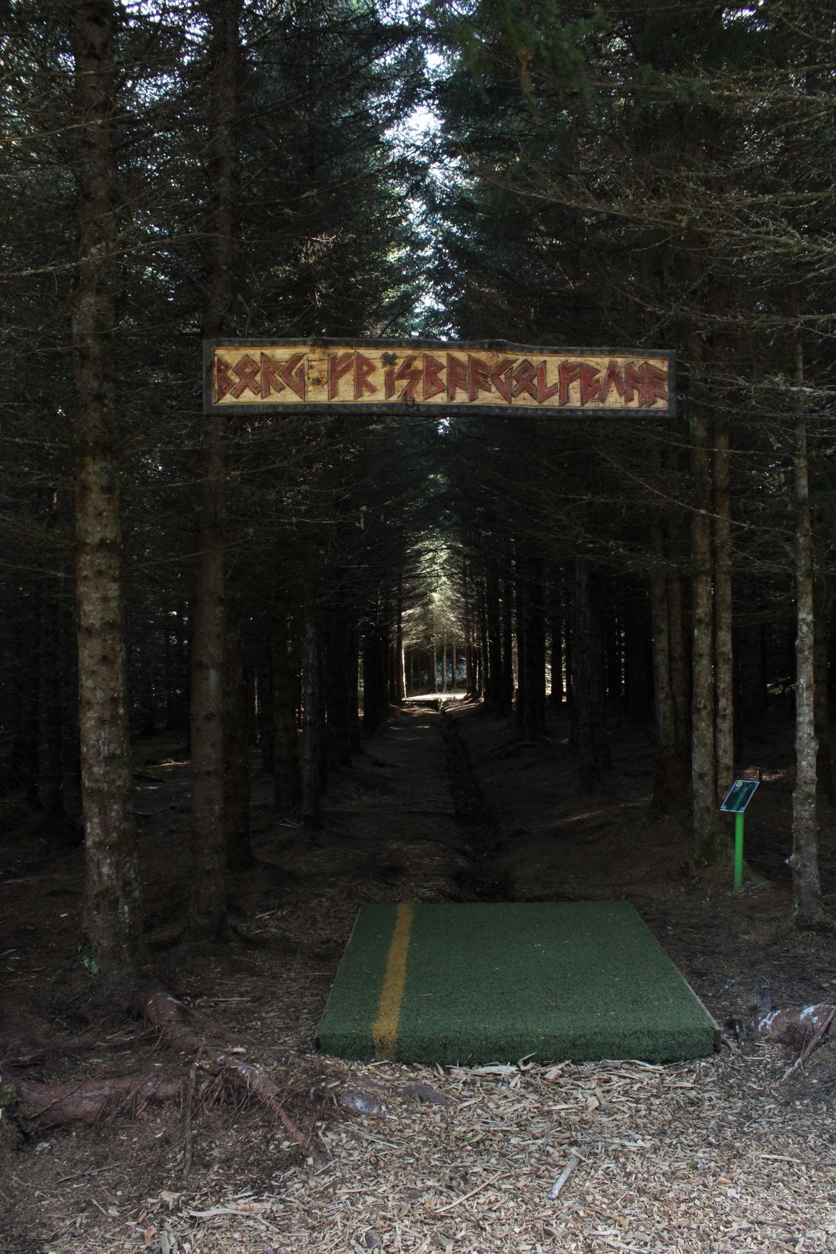 Tee pad 1