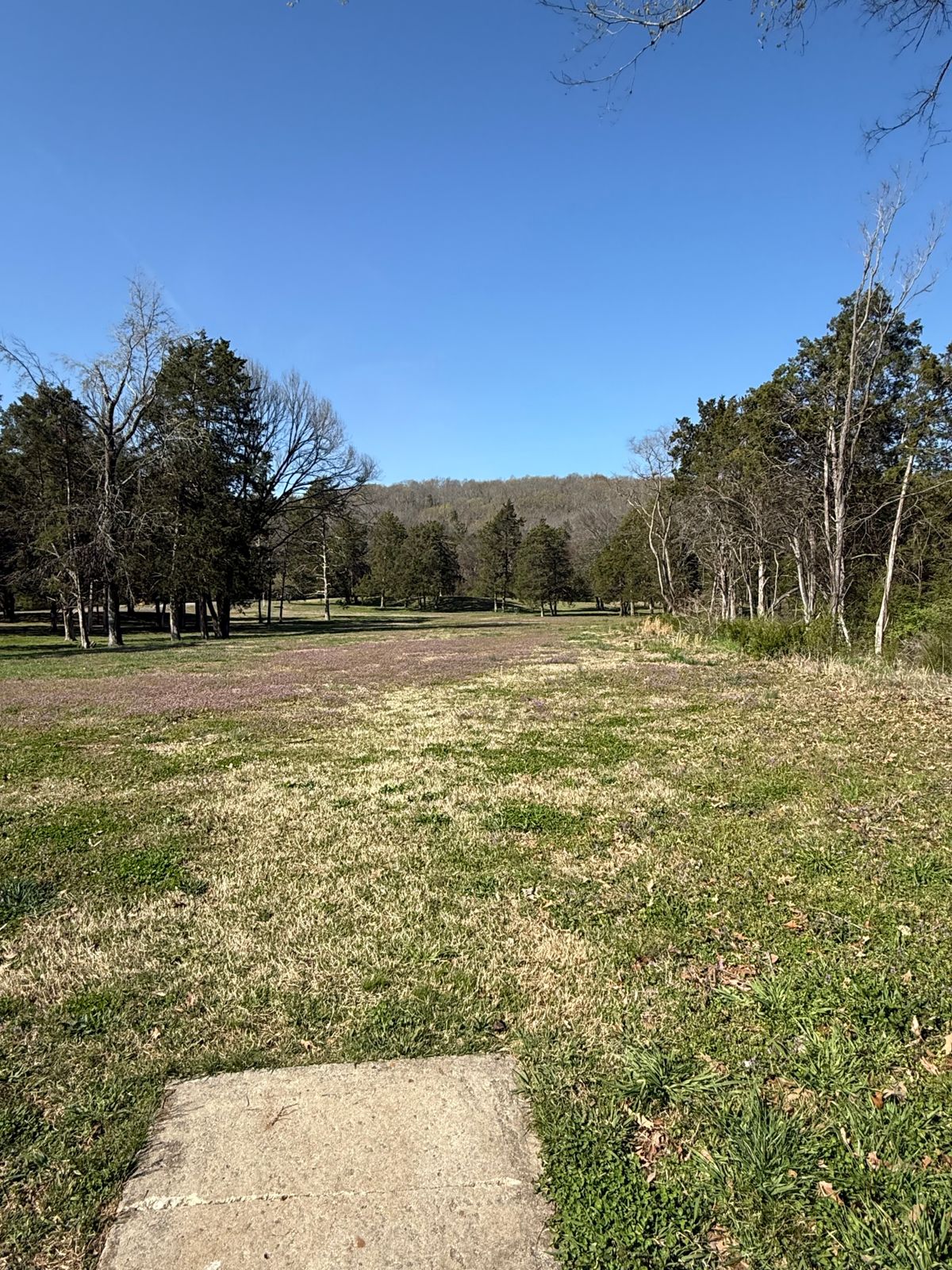 Hole 16 Tee box view