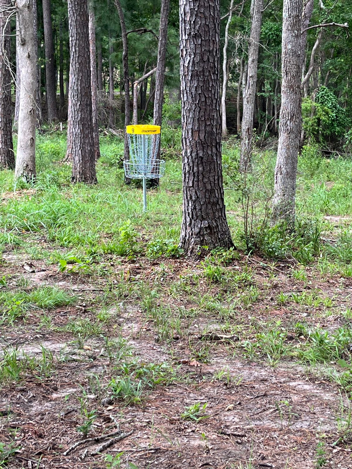 Downhill putt.