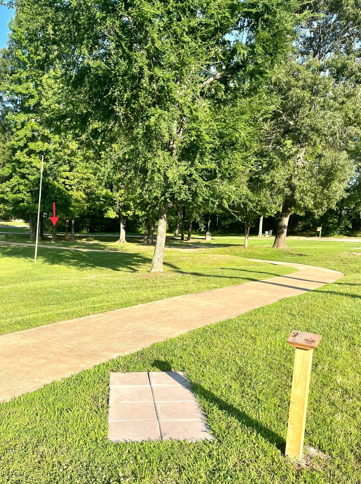 Hole 2. Only grass between the sidewalk and road is in bounds. Pavement and beyond is OB.