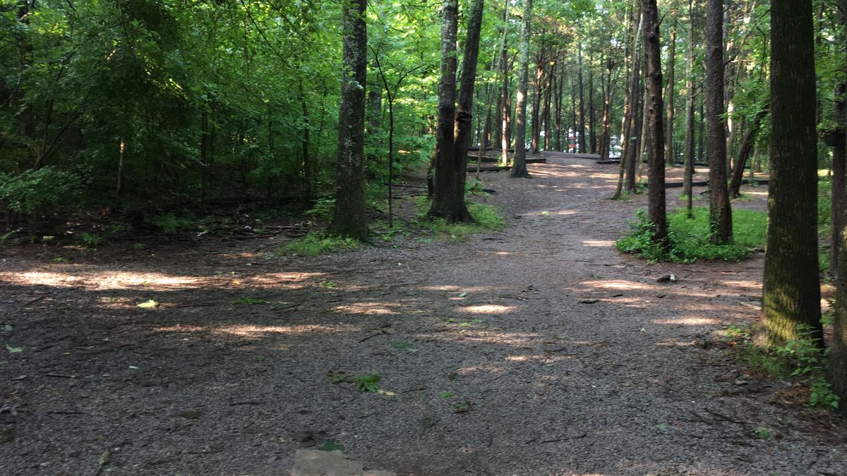 Hole 11