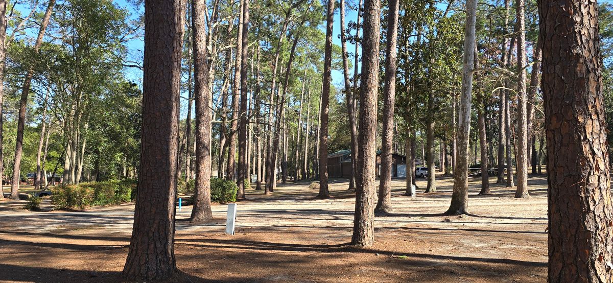 From hole 8 short pad