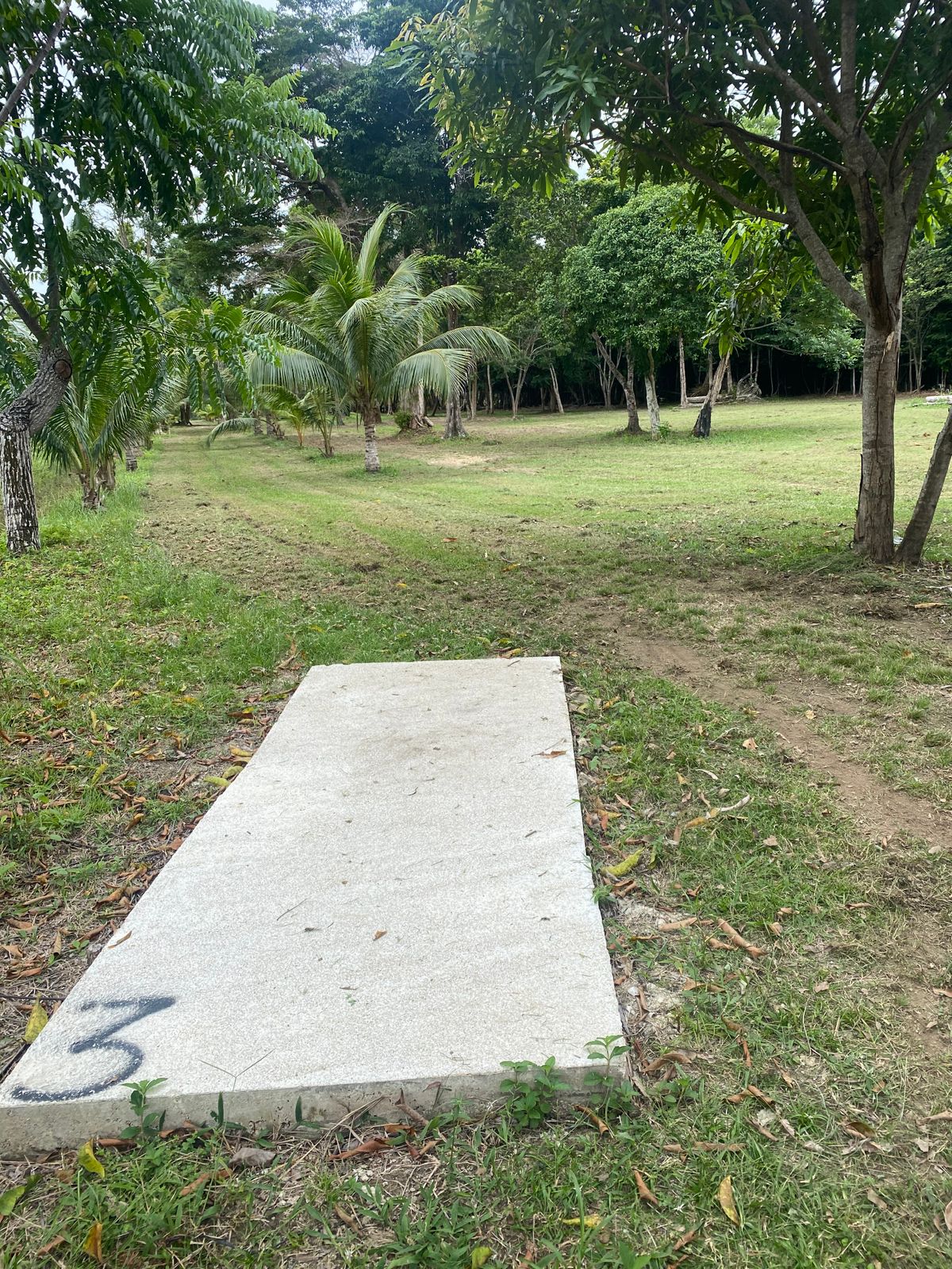Hole 3