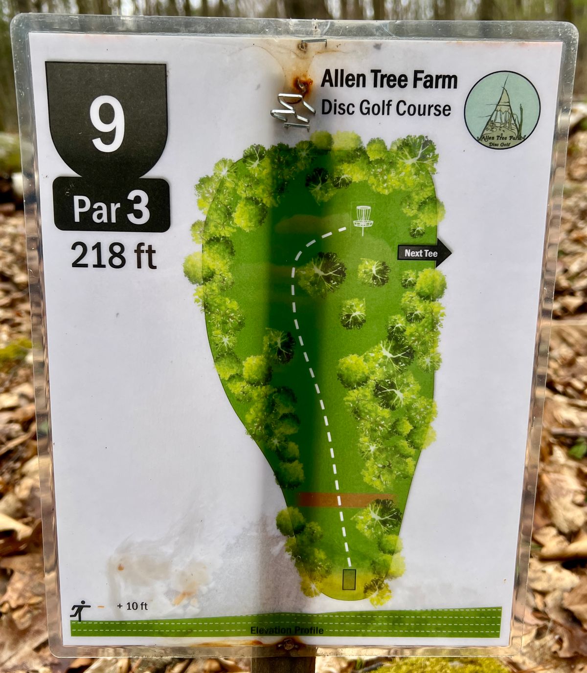 Hole #9
