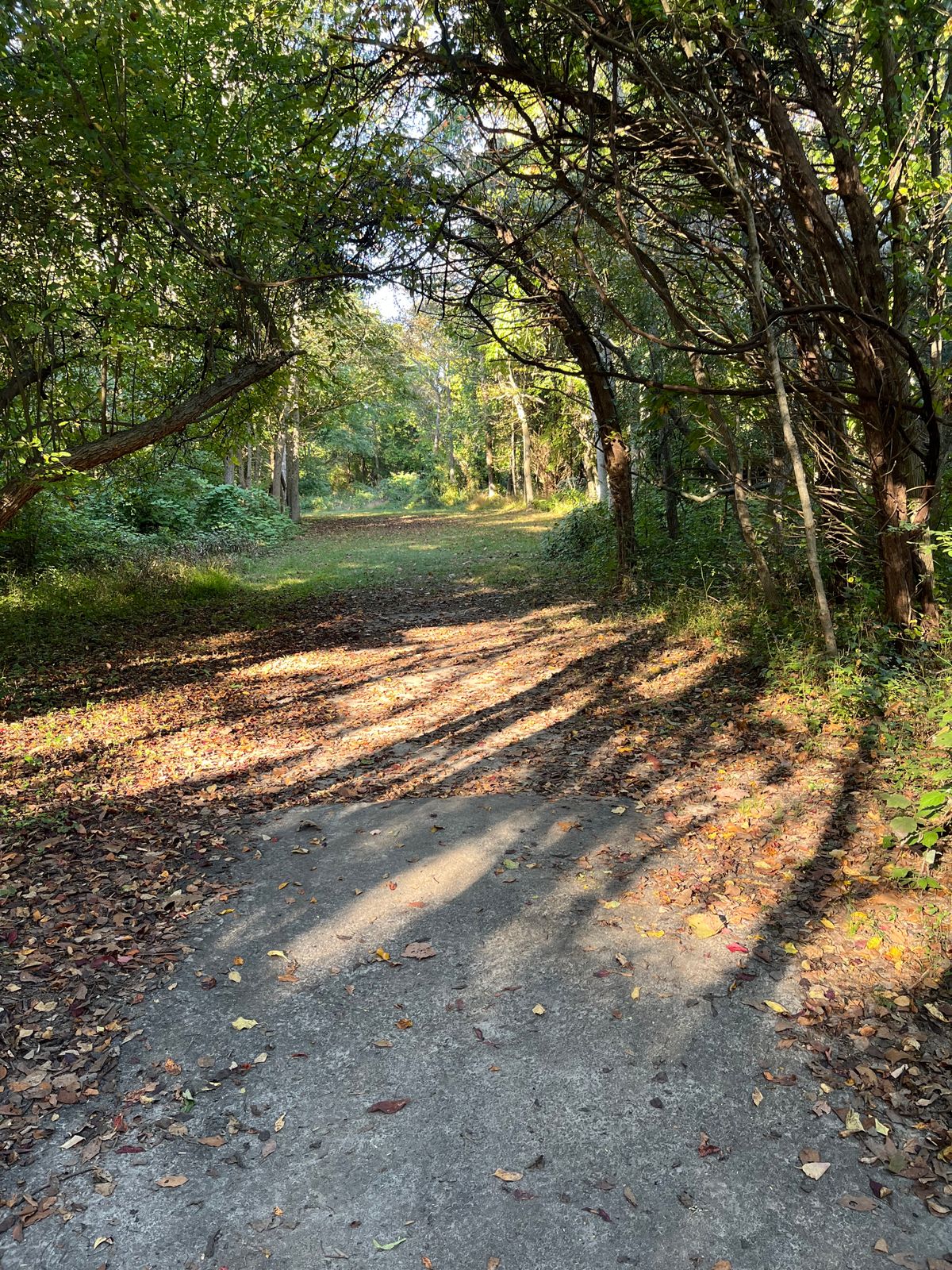 Hole 9 tee