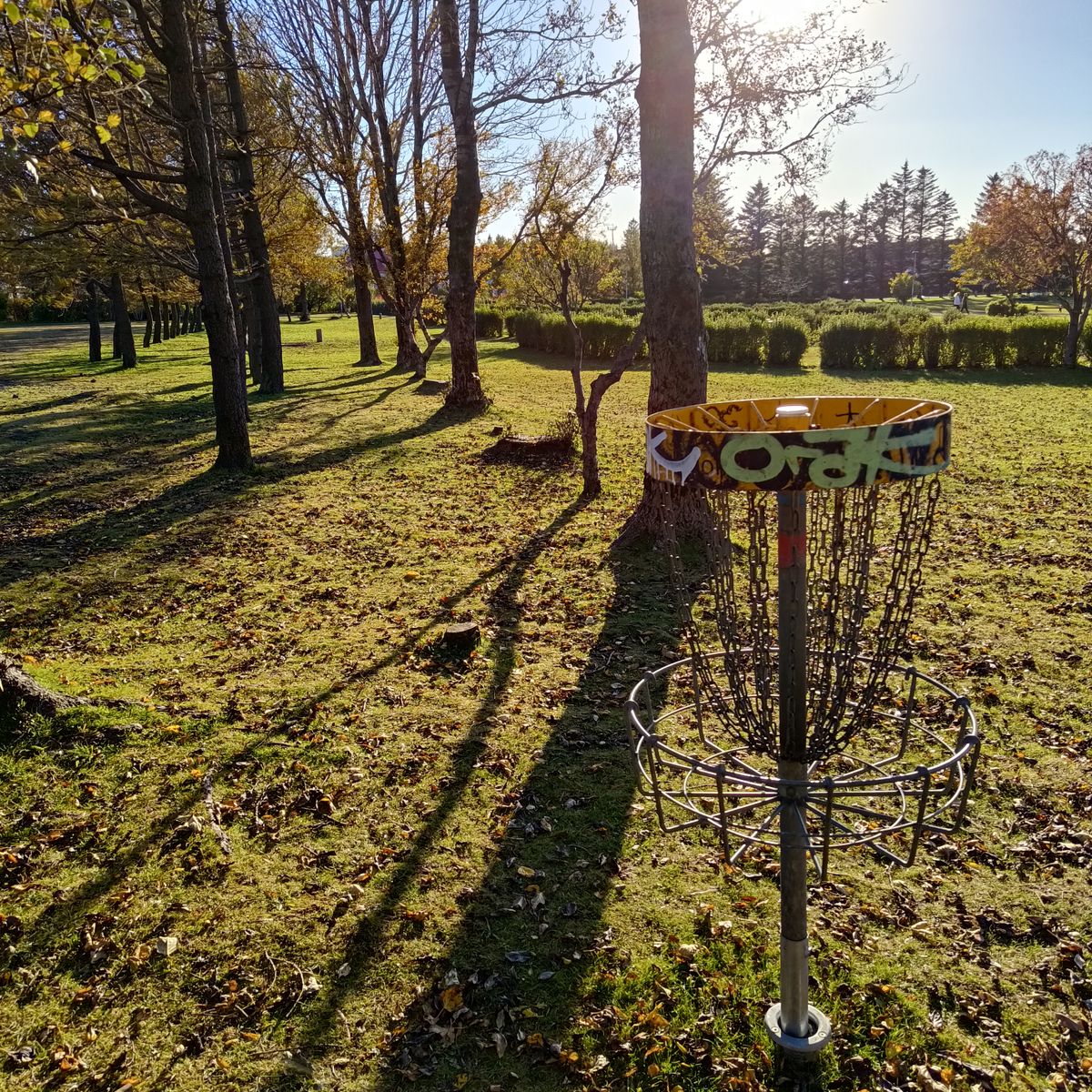 Hole 11, going through tree tunnel.