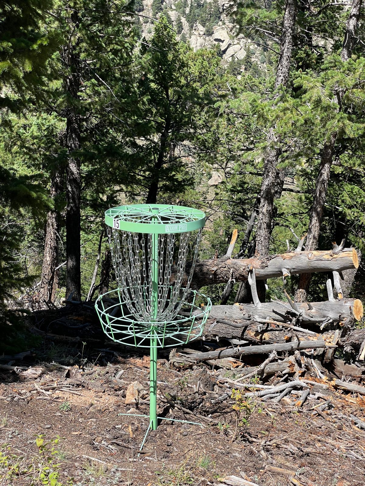 Hole 15 basket