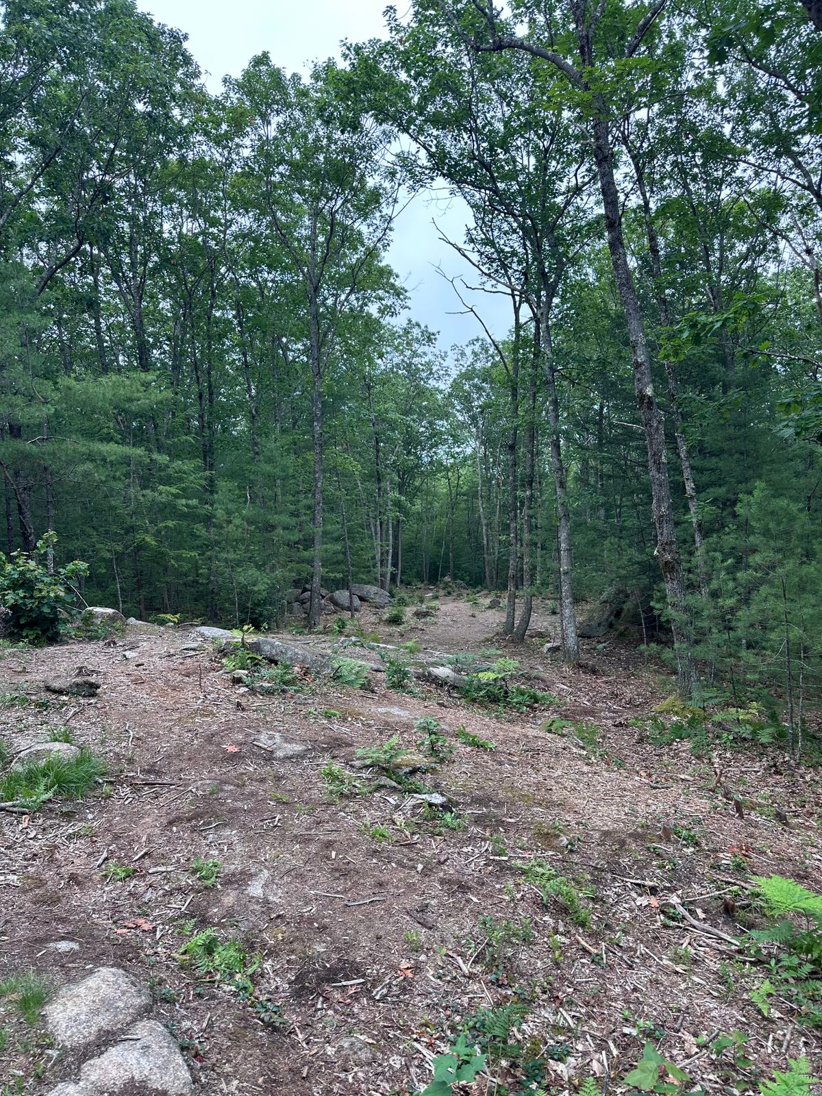 Hole #16