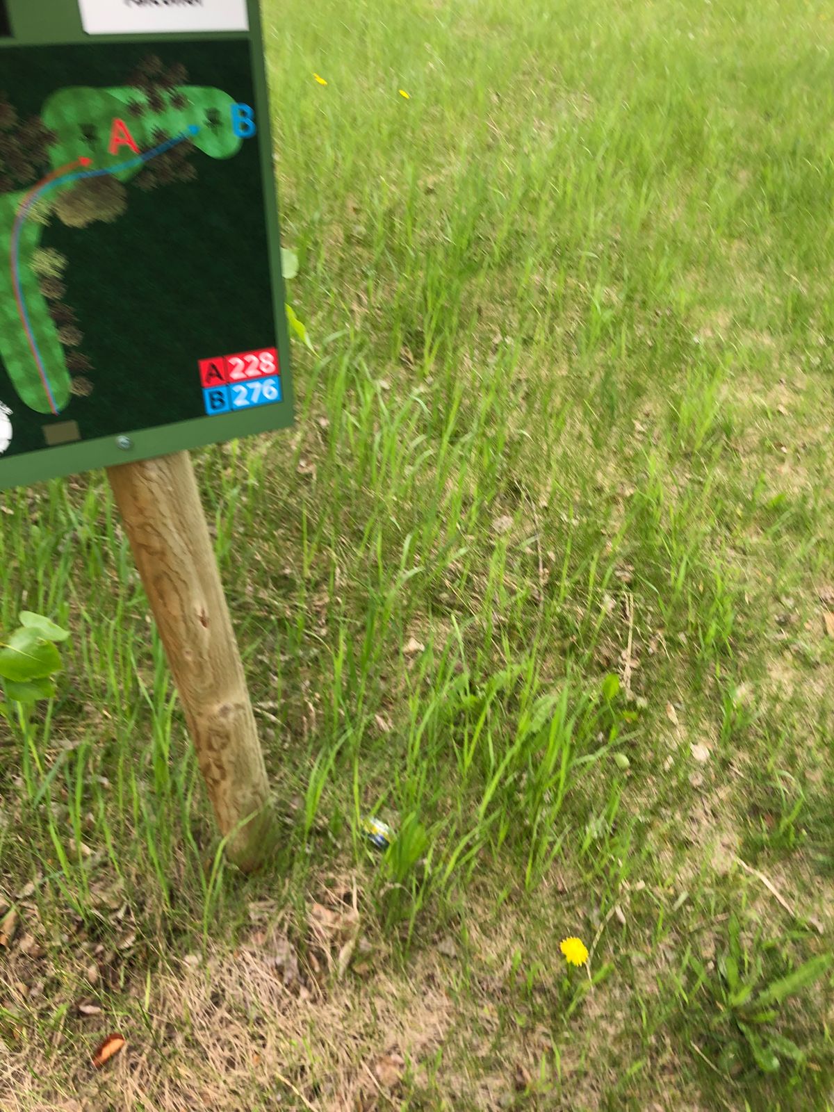 Tee sign hole 7