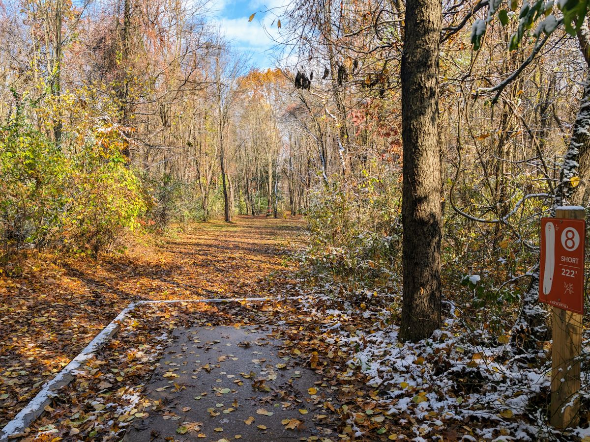 Hole 8 short tee