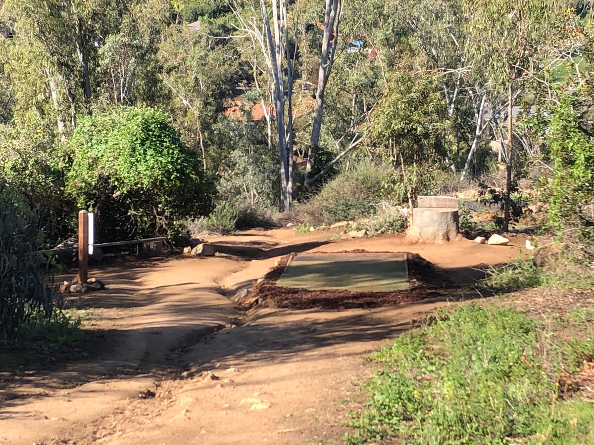 Hole 10, long. New sign, cleaned up tee box.