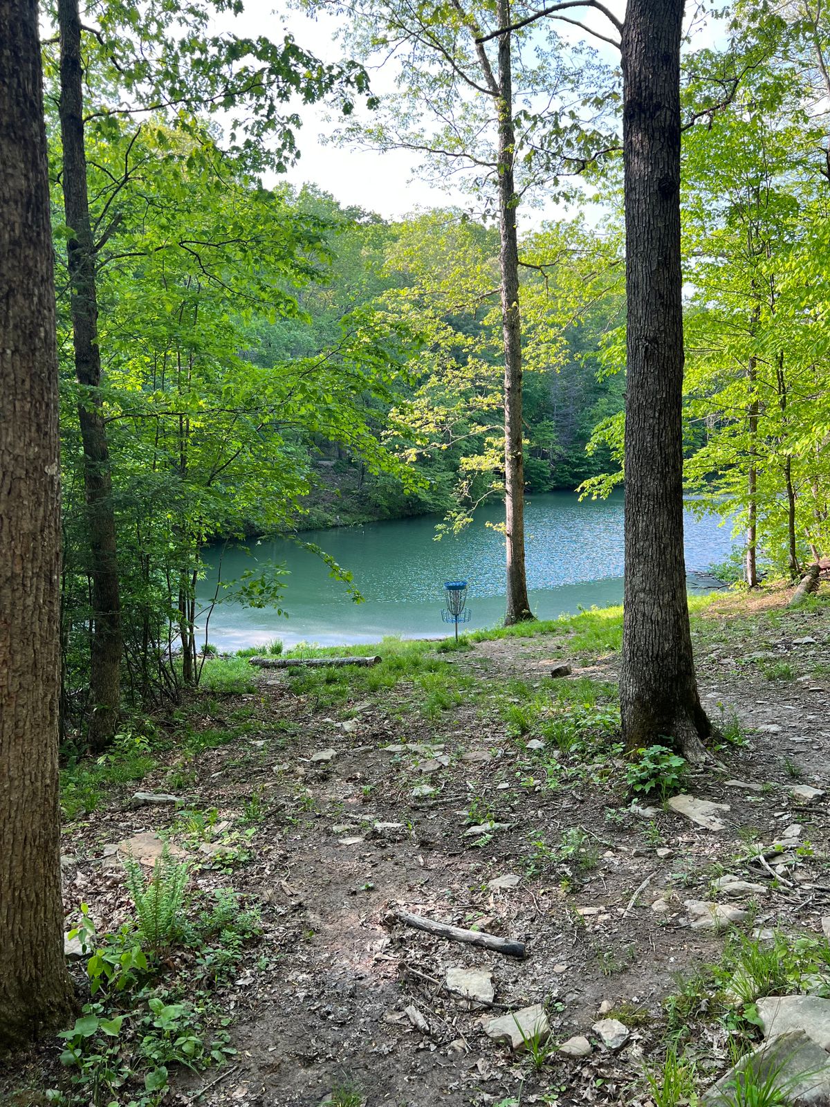 Hole 15 Drop Zone/Basket to Tee