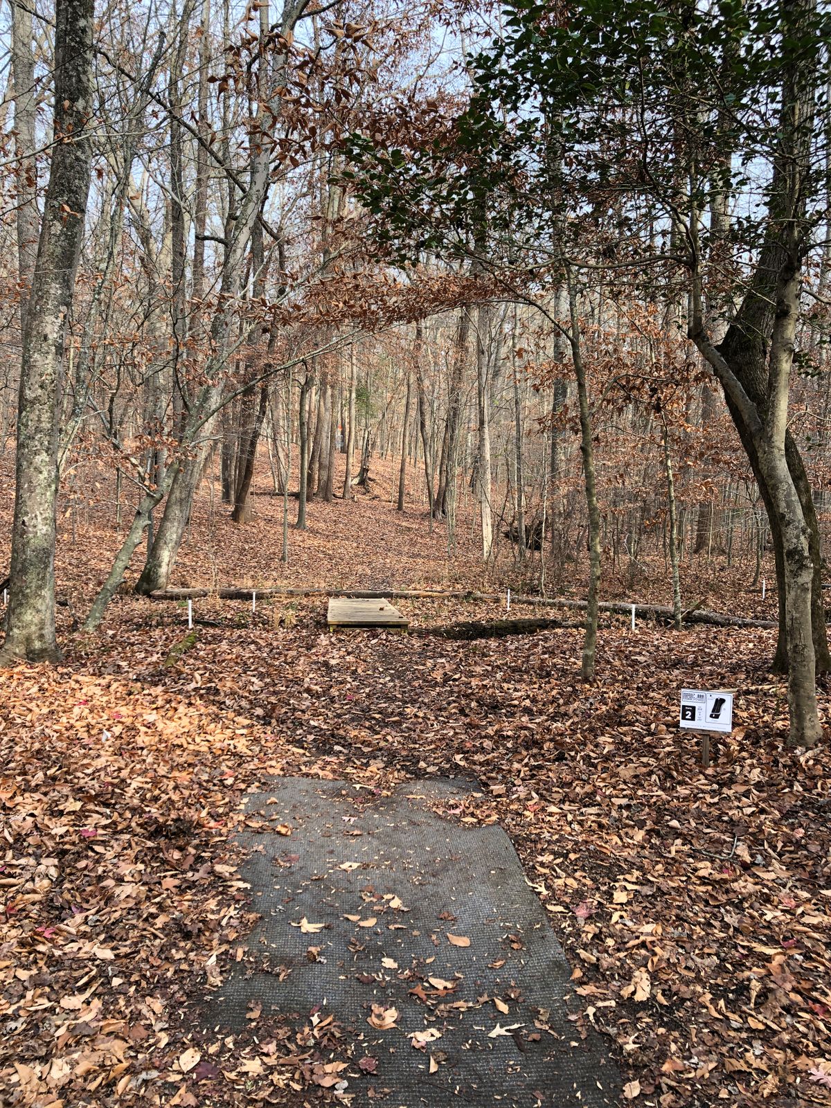 Hole 2 tee