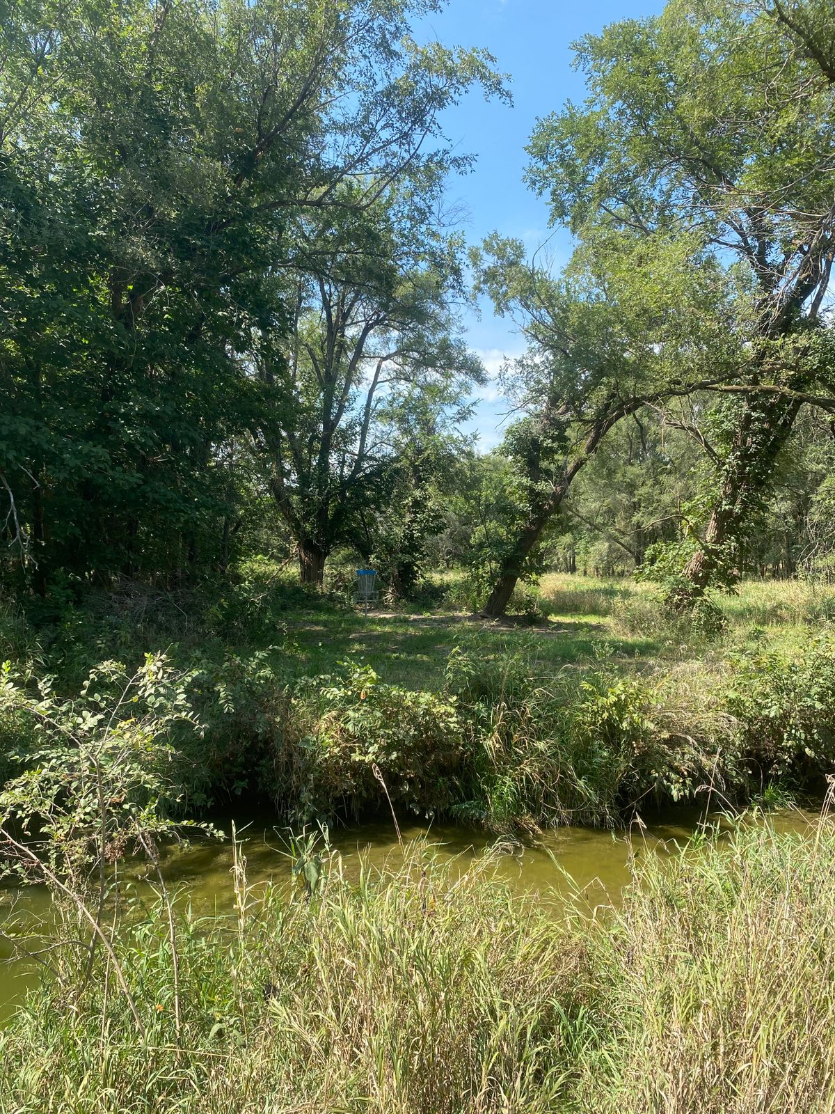 Hole 16 basket