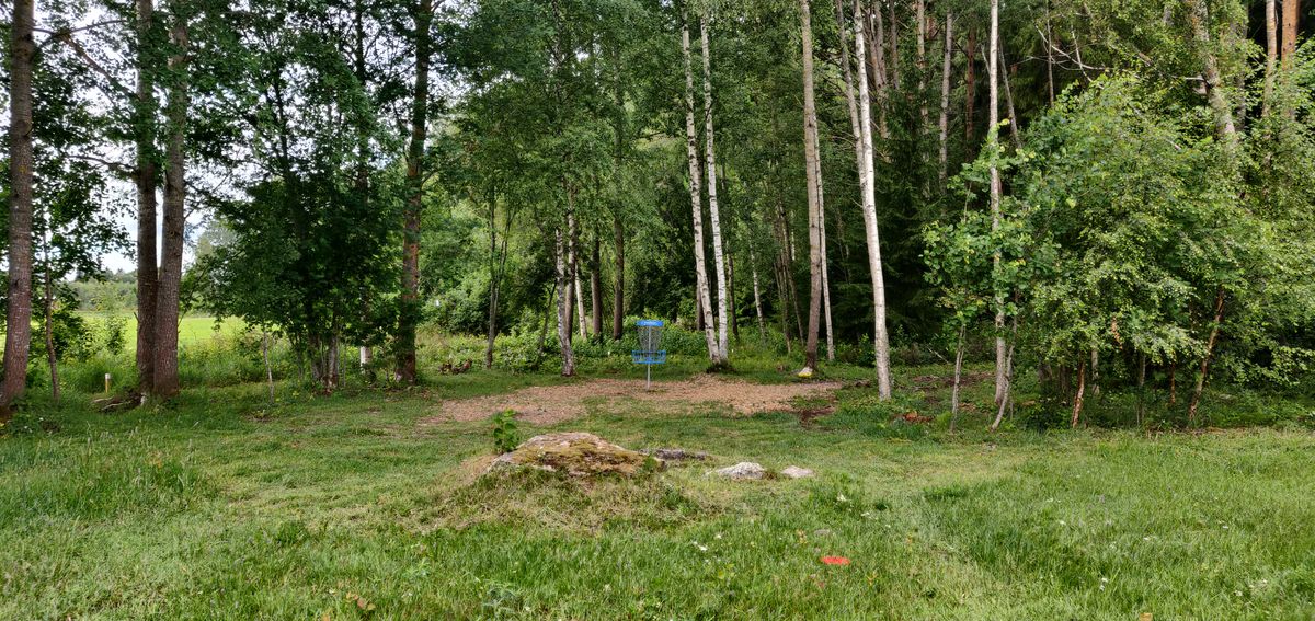 Hole 9 basket