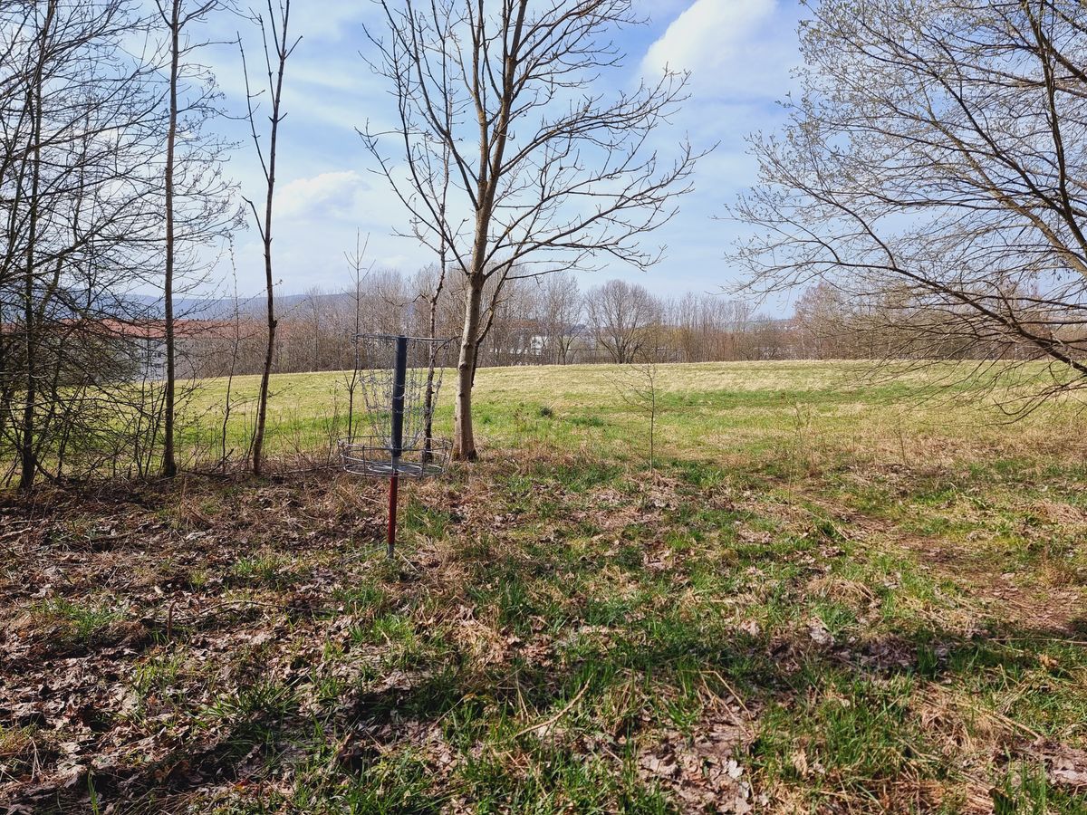 Korb Bahn 9 Bogeyland (Blickrichtung Abwurf)