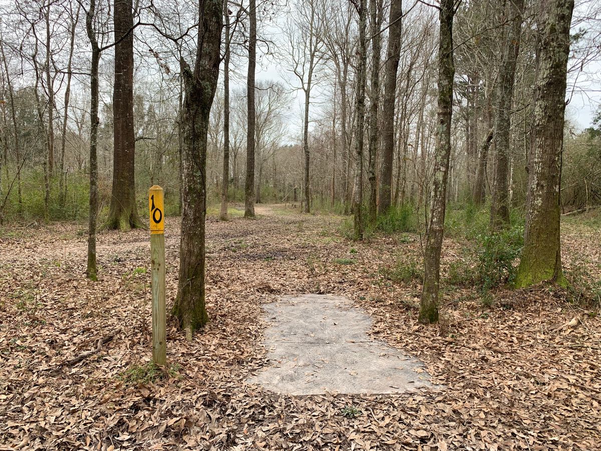 Hole 10 Fairway