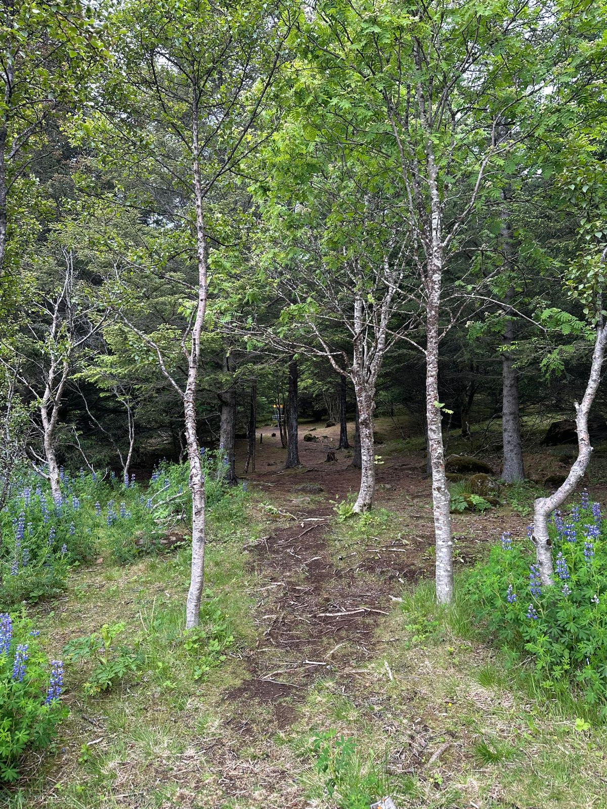 Hole 2