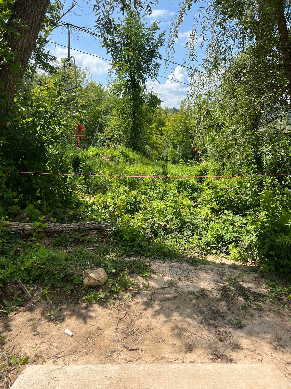 Hole 6 from tee pad.