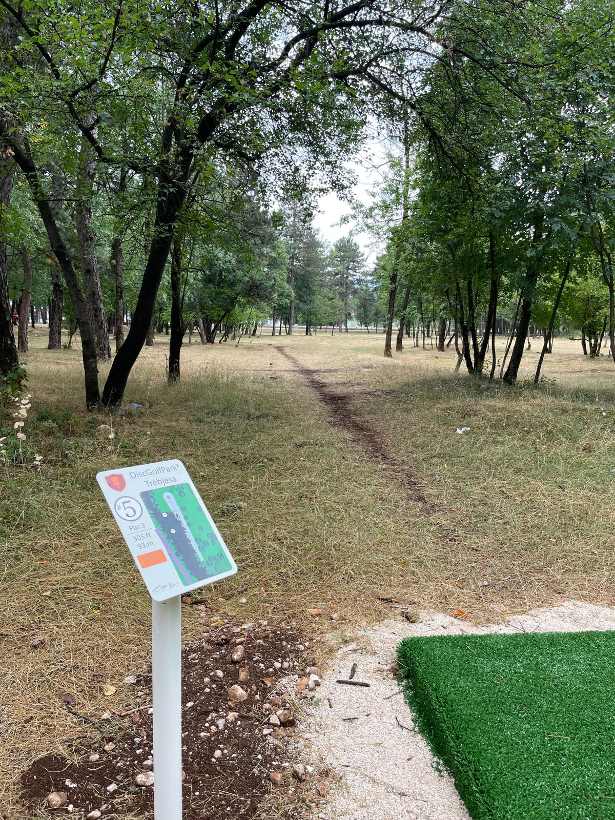 Hole 5 tee