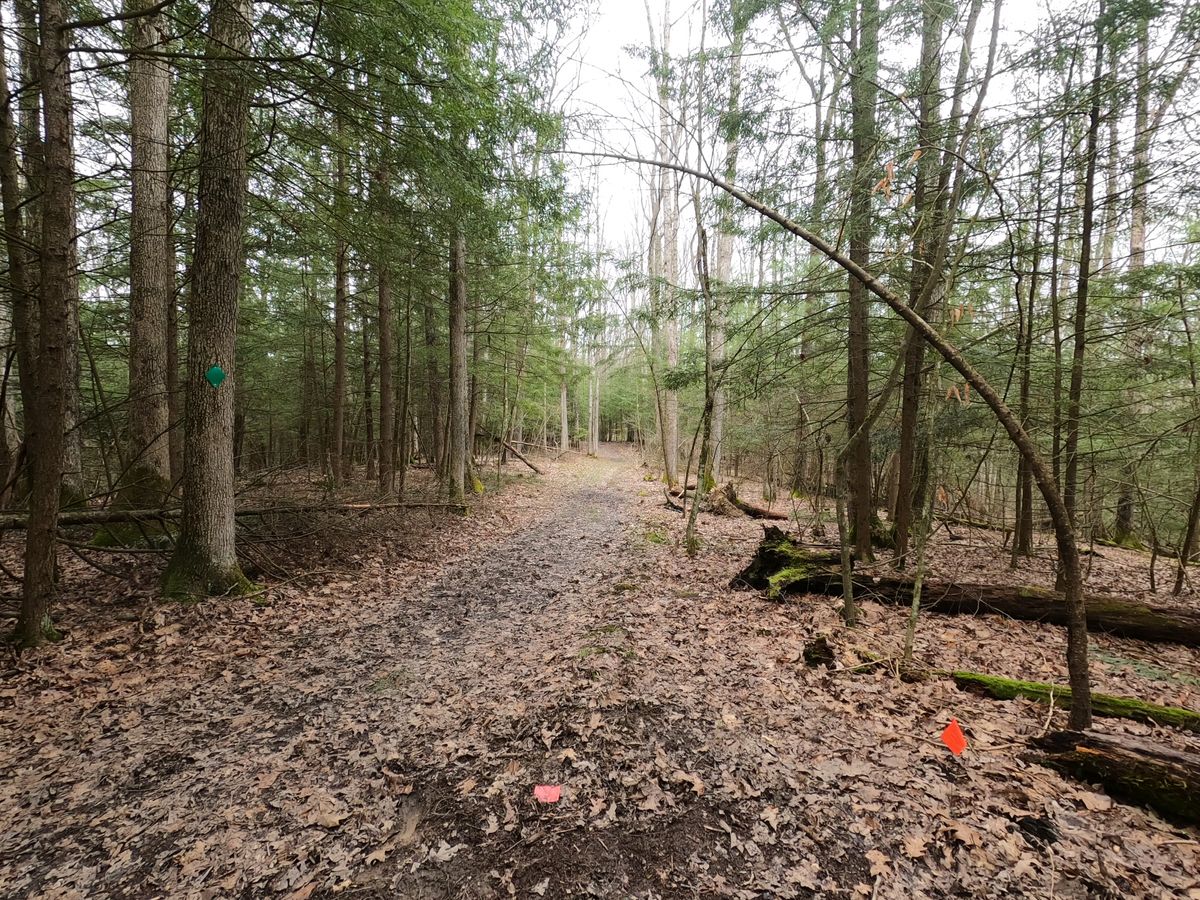 Hole #9 Tee