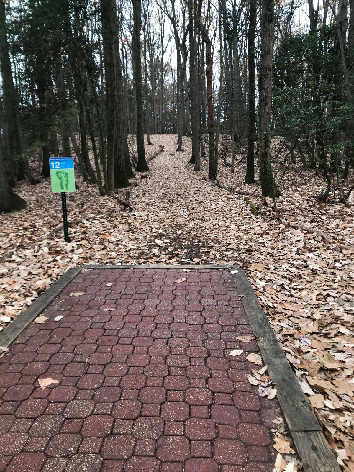Hole 12 long tee
