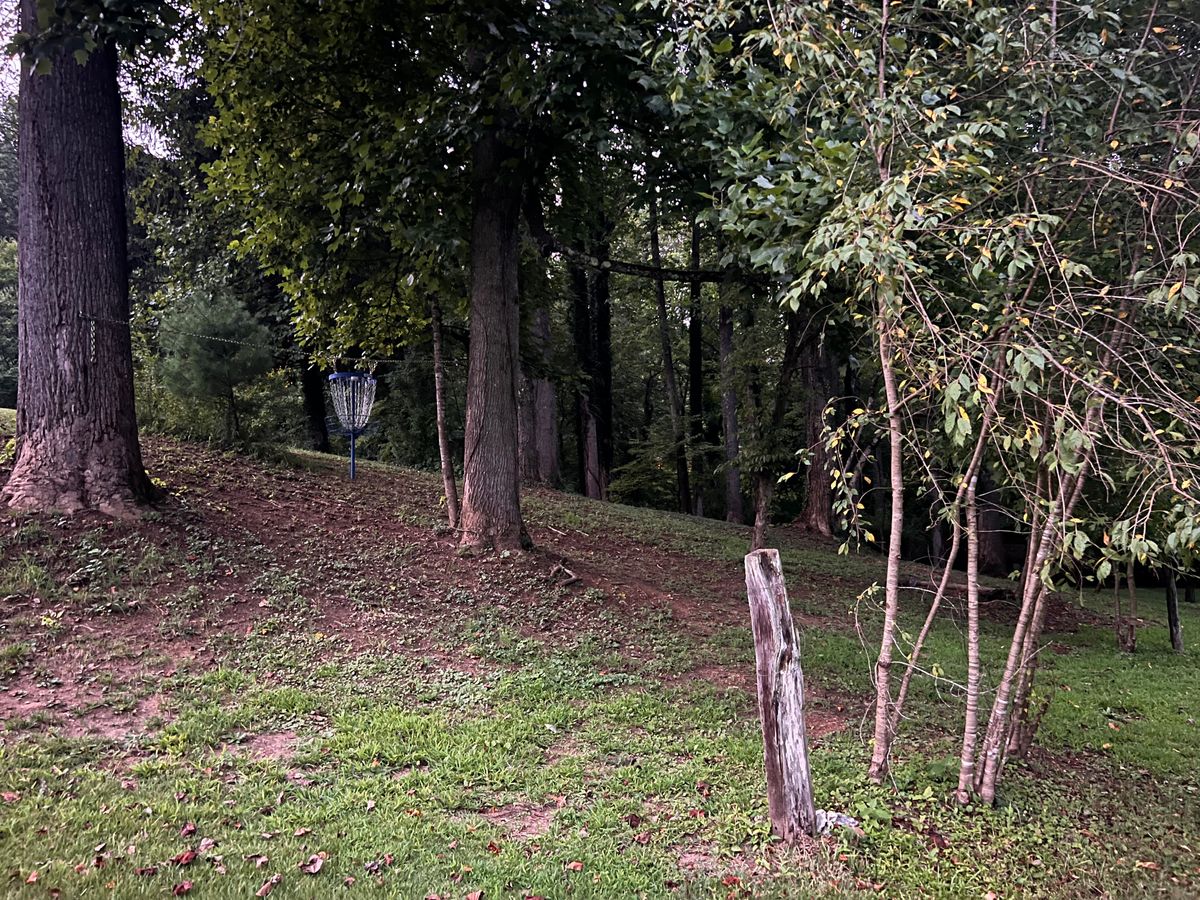 Hole 6 basket. It’s hanging!