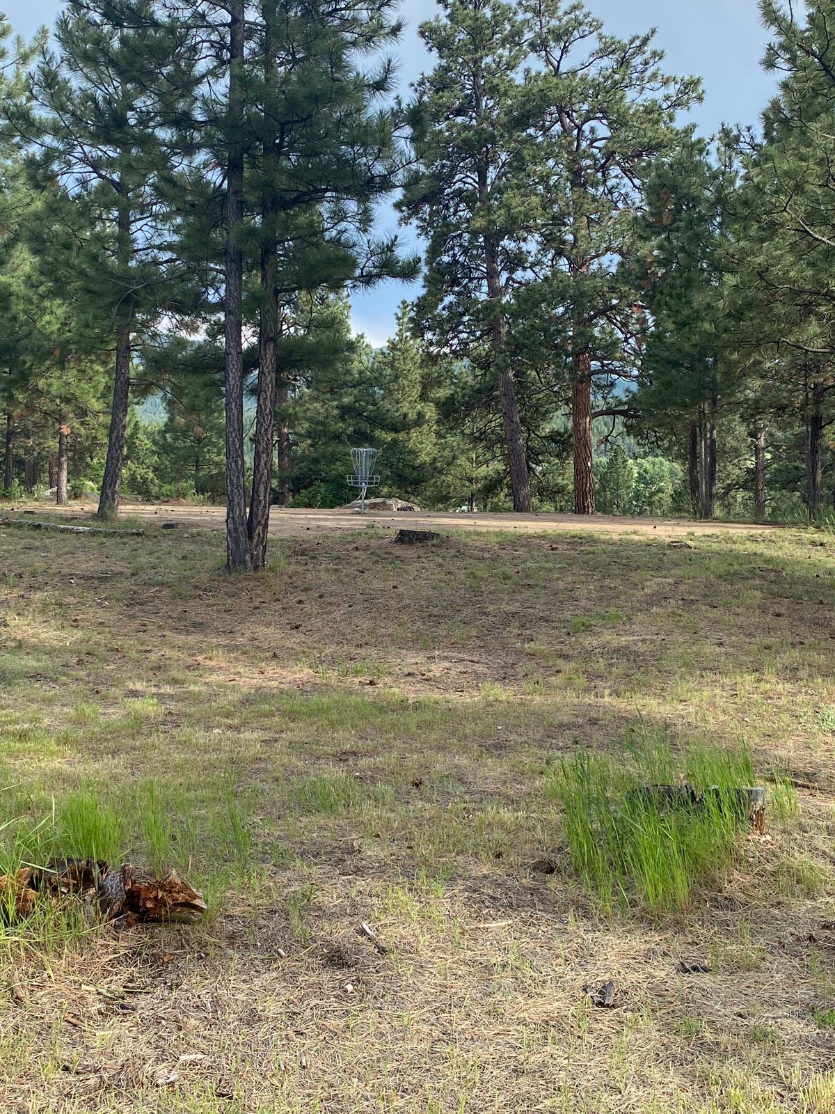 Hole 1 sand green