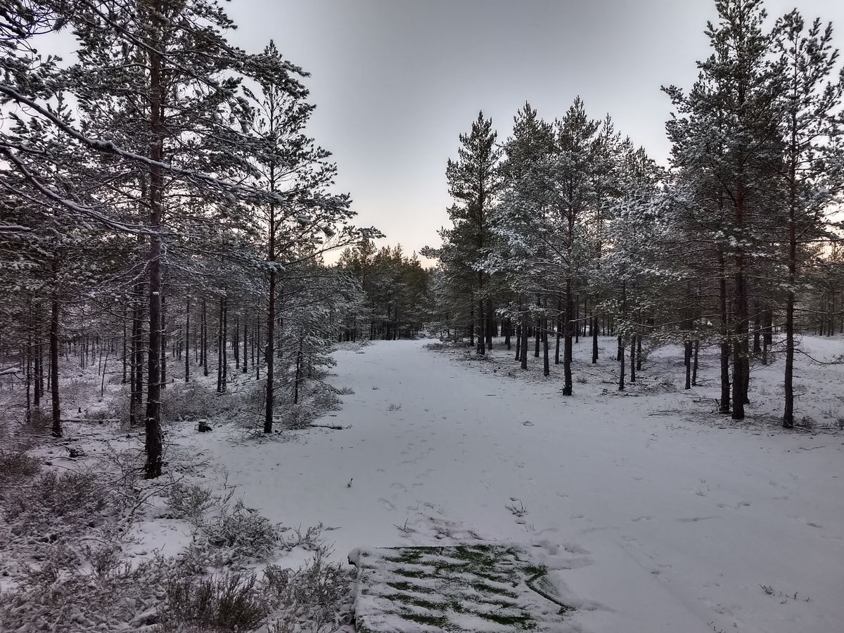 Hål 11