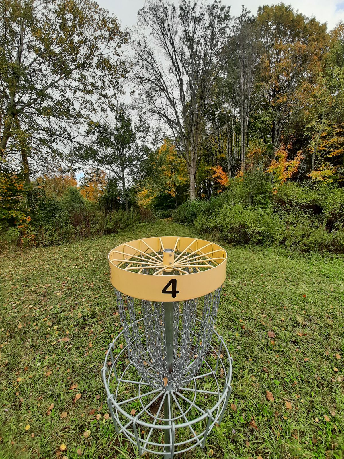Basket 4 looking back at what should be a fairway