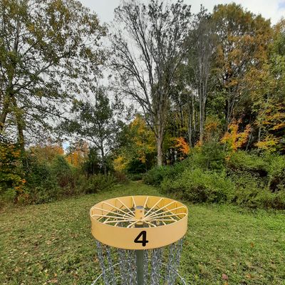Basket 4 looking back at what should be a fairway