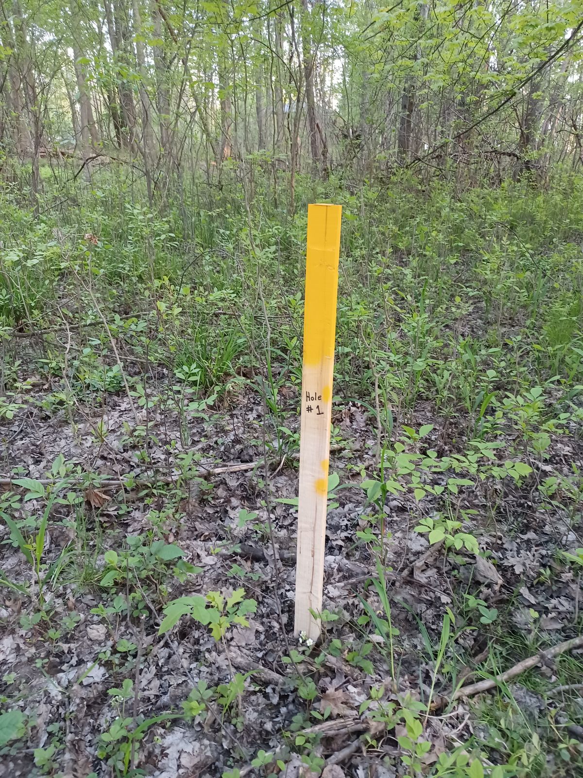 I didn't want to put to much money into the course but this is the tee and target as it is right now, maybe I'll upgrade as I go. Rustic
