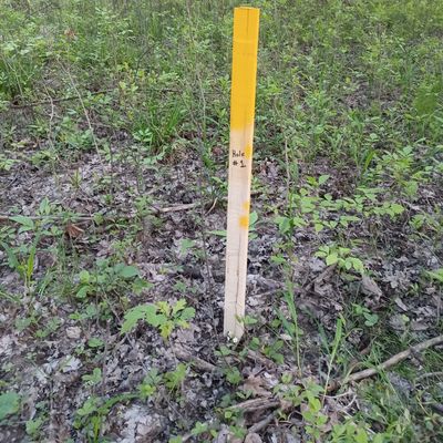 I didn't want to put to much money into the course but this is the tee and target as it is right now, maybe I'll upgrade as I go. Rustic