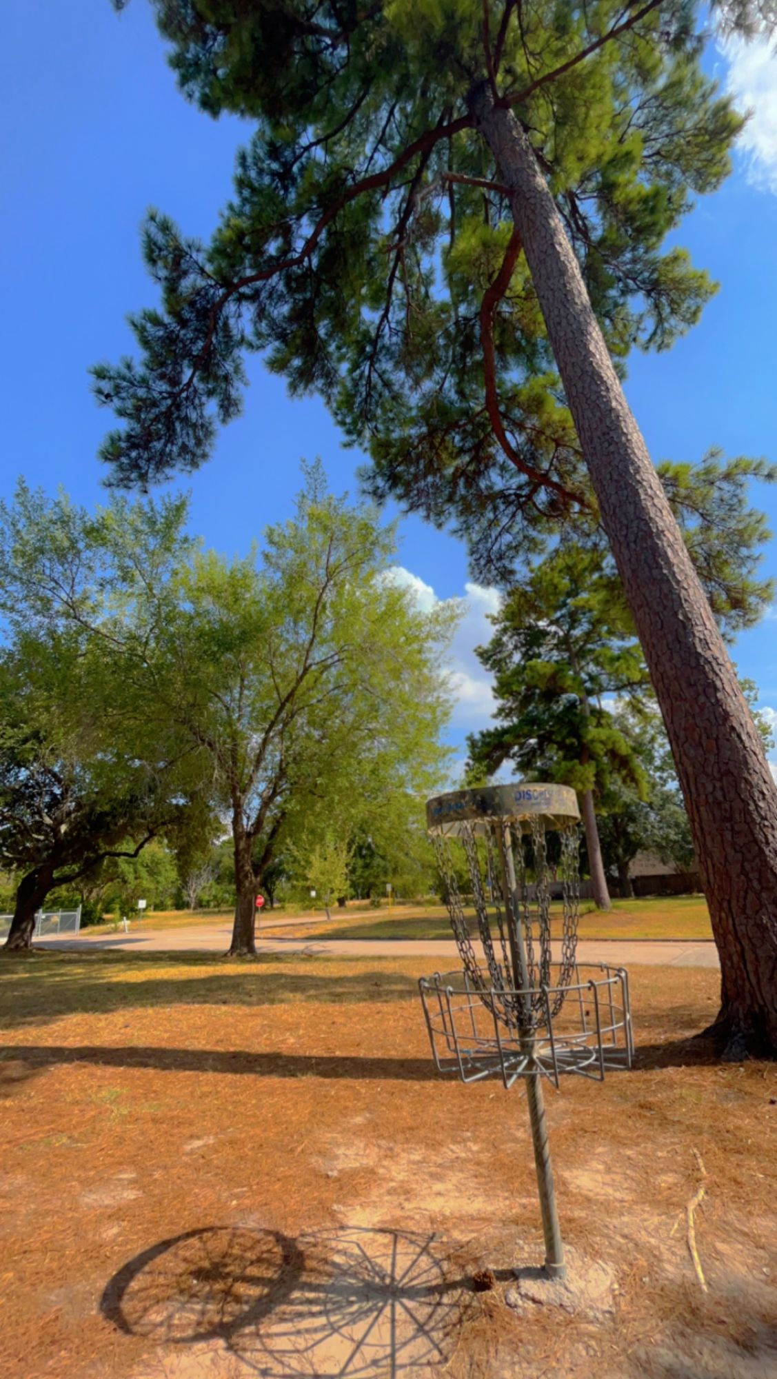Hole 4 Basket