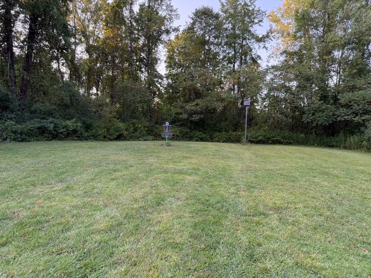 Hole 3 Green